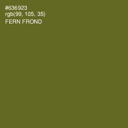 #636923 - Fern Frond Color Image