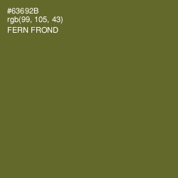 #63692B - Fern Frond Color Image