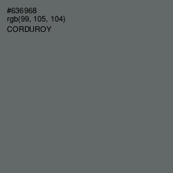 #636968 - Corduroy Color Image