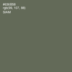 #636B58 - Siam Color Image