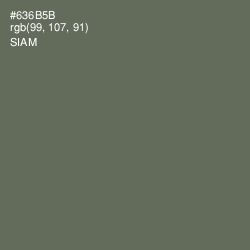 #636B5B - Siam Color Image