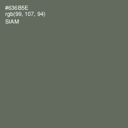 #636B5E - Siam Color Image
