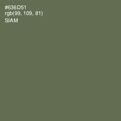 #636D51 - Siam Color Image