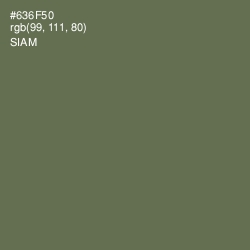 #636F50 - Siam Color Image