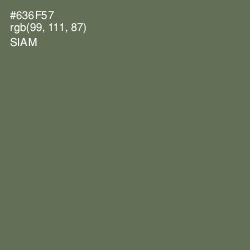 #636F57 - Siam Color Image
