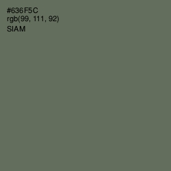 #636F5C - Siam Color Image