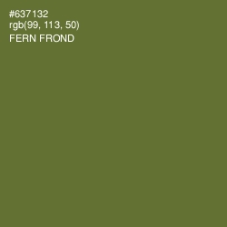 #637132 - Fern Frond Color Image