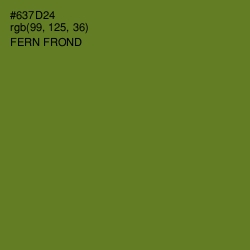 #637D24 - Fern Frond Color Image