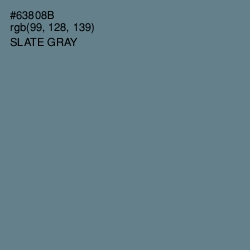 #63808B - Slate Gray Color Image