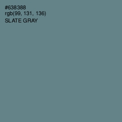 #638388 - Slate Gray Color Image