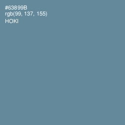 #63899B - Hoki Color Image