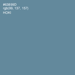 #63899D - Hoki Color Image