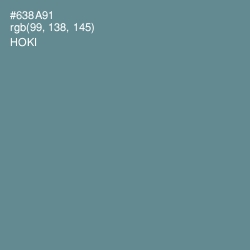 #638A91 - Hoki Color Image