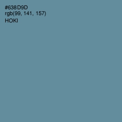 #638D9D - Hoki Color Image