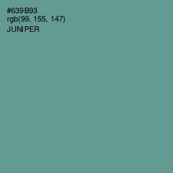 #639B93 - Juniper Color Image