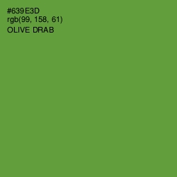 #639E3D - Olive Drab Color Image