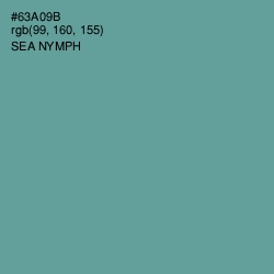 #63A09B - Sea Nymph Color Image