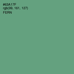 #63A17F - Fern Color Image