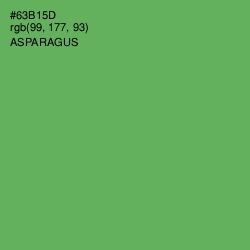 #63B15D - Asparagus Color Image