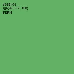 #63B164 - Fern Color Image