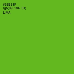 #63B81F - Lima Color Image