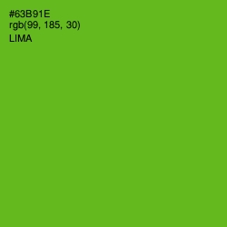 #63B91E - Lima Color Image