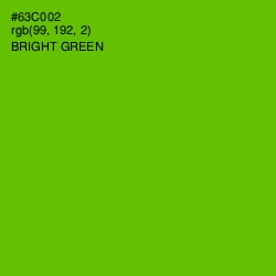 #63C002 - Bright Green Color Image