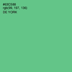 #63C588 - De York Color Image