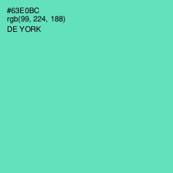 #63E0BC - De York Color Image