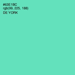#63E1BC - De York Color Image
