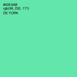 #63E6AB - De York Color Image