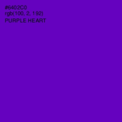 #6402C0 - Purple Heart Color Image