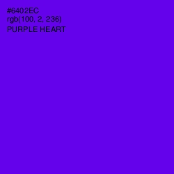 #6402EC - Purple Heart Color Image