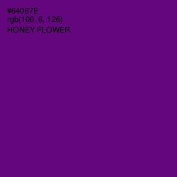 #64067E - Honey Flower Color Image