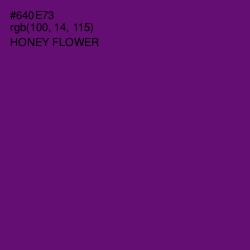 #640E73 - Honey Flower Color Image