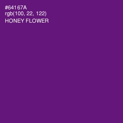 #64167A - Honey Flower Color Image