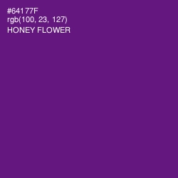 #64177F - Honey Flower Color Image