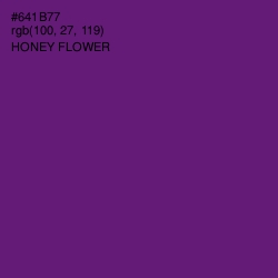 #641B77 - Honey Flower Color Image