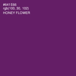 #641E66 - Honey Flower Color Image