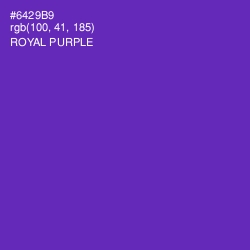 #6429B9 - Royal Purple Color Image