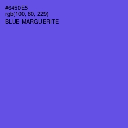 #6450E5 - Blue Marguerite Color Image