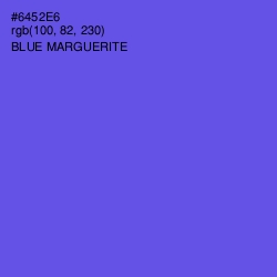 #6452E6 - Blue Marguerite Color Image