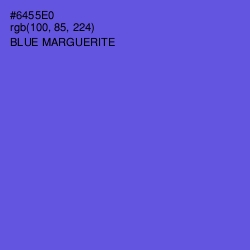 #6455E0 - Blue Marguerite Color Image
