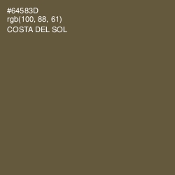 #64583D - Costa Del Sol Color Image