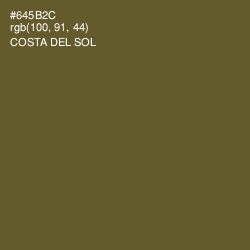 #645B2C - Costa Del Sol Color Image