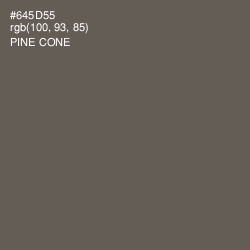 #645D55 - Pine Cone Color Image