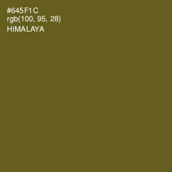 #645F1C - Himalaya Color Image