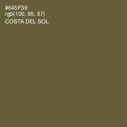 #645F39 - Costa Del Sol Color Image