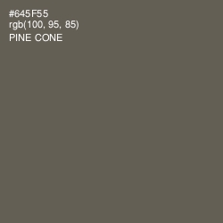 #645F55 - Pine Cone Color Image