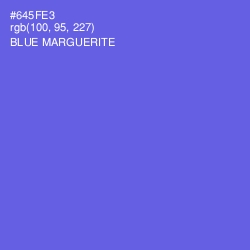 #645FE3 - Blue Marguerite Color Image